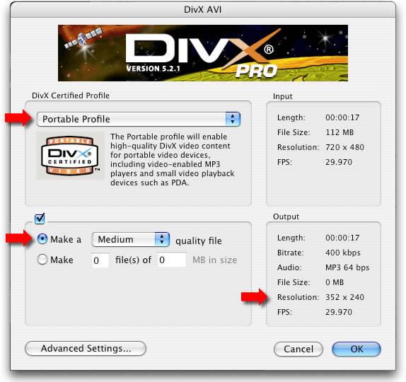 export avi divx medium version 5.2.1